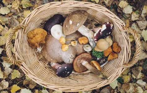 De leukste foodtrends van 2018